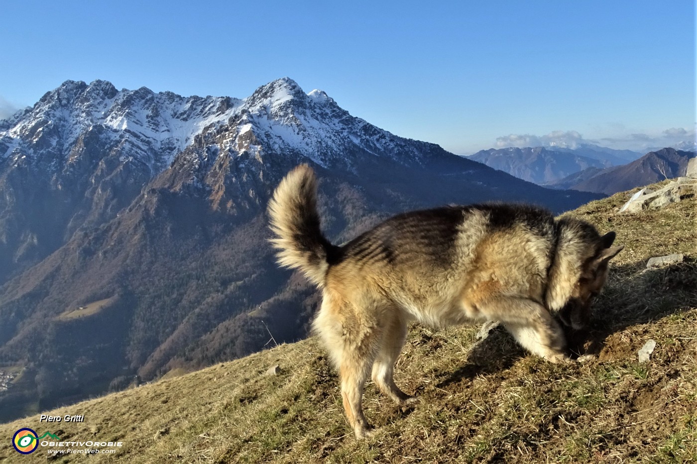 19 Dori scava alla ricerca di....JPG